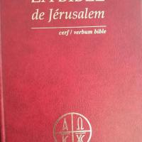 Whatsapp image 2025 04 08 at 08 05 38 1